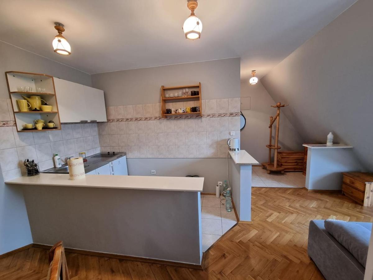 Apartament Droga Na Bystre 9A Zakopane Extérieur photo