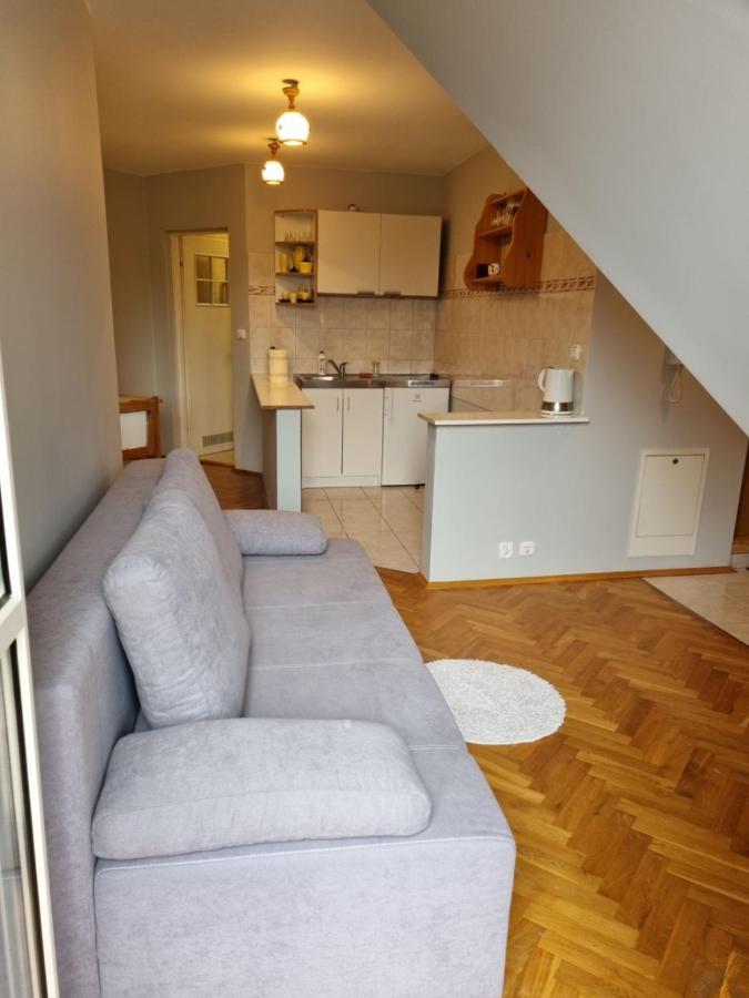 Apartament Droga Na Bystre 9A Zakopane Extérieur photo